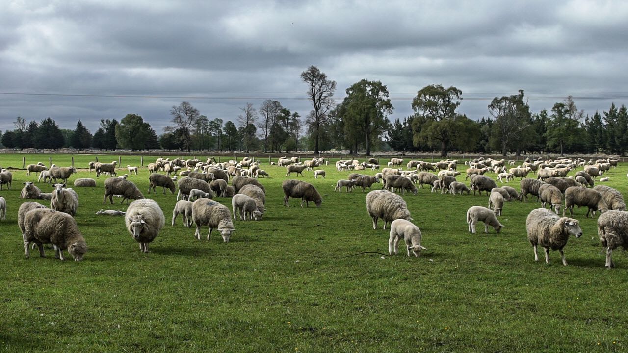PHOTO-2018-01-09-19-29-36